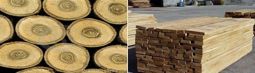gỗ Sồi tai sao go soi lam tủ bếp đẹp